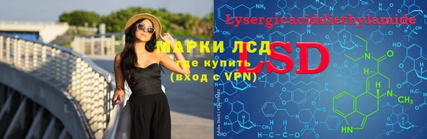 спайс Богданович