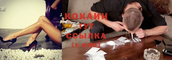 спайс Богданович