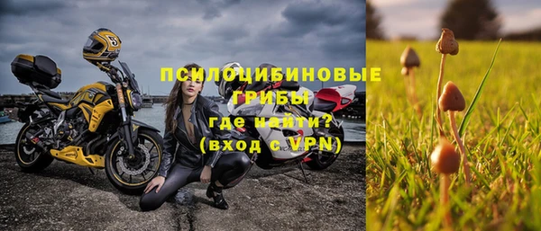 спайс Белокуриха