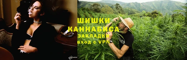 спайс Богданович