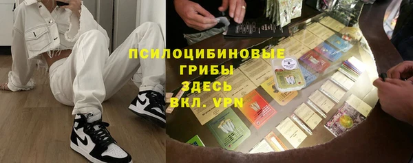 спайс Богданович