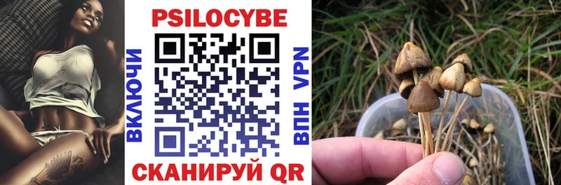 Псилоцибиновые грибы Cubensis  купить наркотики сайты  Борзя 